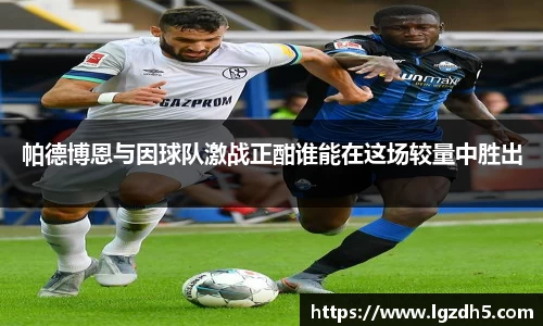 zoty中欧